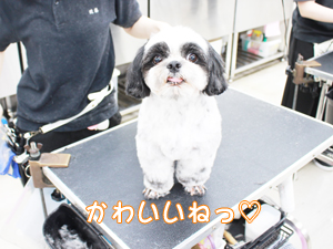 かわいいねって言ってみました☆